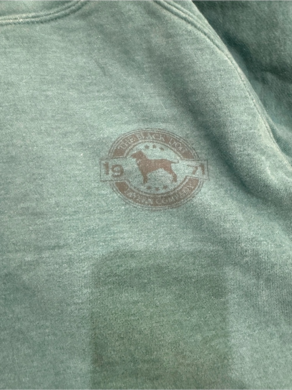 The Black Dog Teal Pullover Hoodie with Subtle Logo - Picture 7 of 13